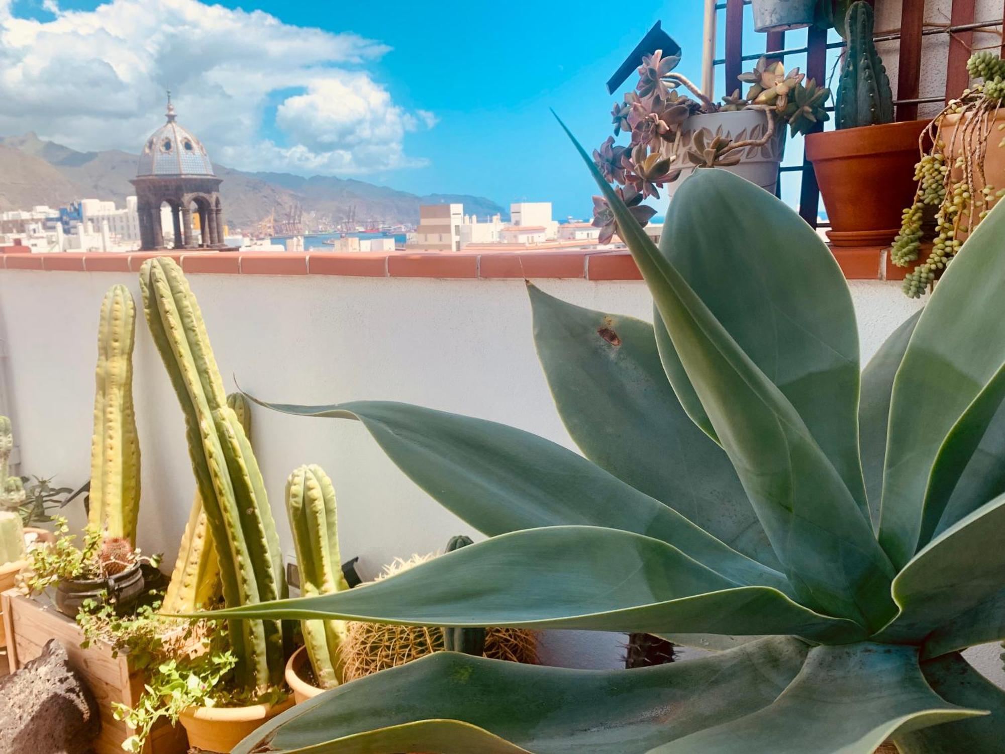Апартаменты Atico Con Terraza, Vistas Panoramicas Y Parking Санта-Крус-де-Тенерифе Экстерьер фото
