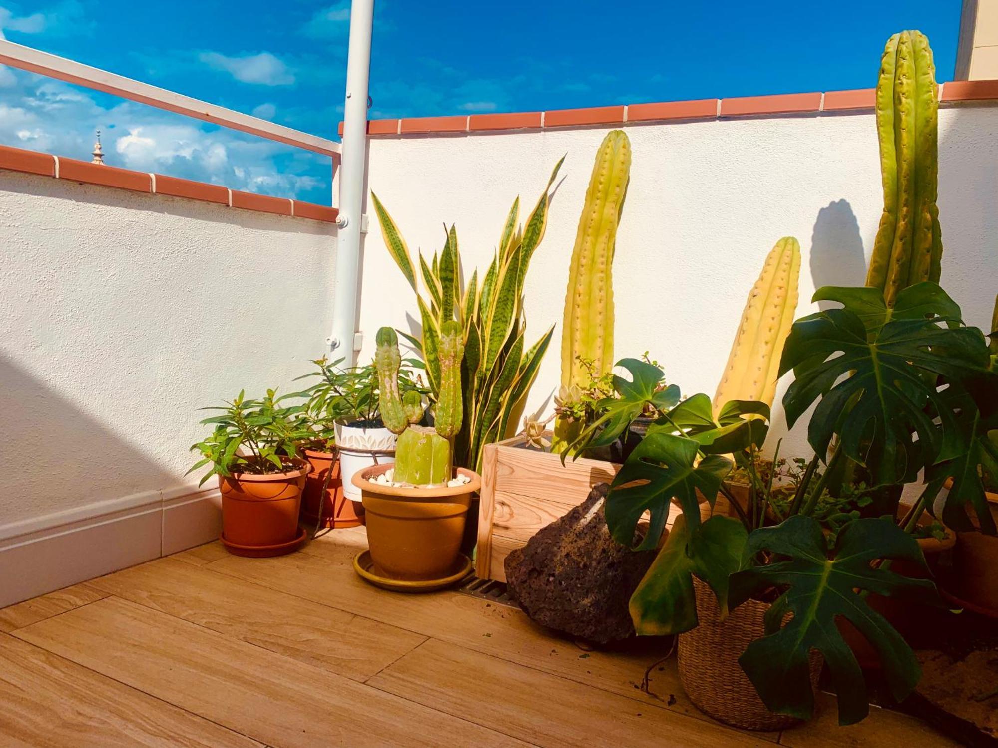 Апартаменты Atico Con Terraza, Vistas Panoramicas Y Parking Санта-Крус-де-Тенерифе Экстерьер фото